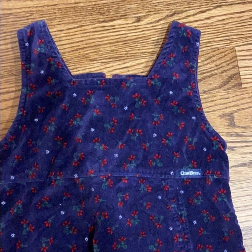 OshKosh B’gosh | Floral Velvet‎ Cotton Dress Sz 6